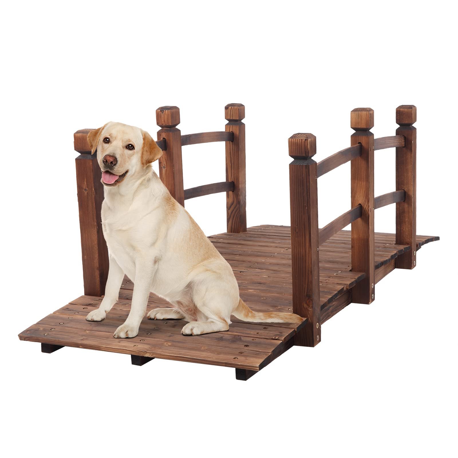 Yellow Labrador dog sitting on a small wooden decorative bridge