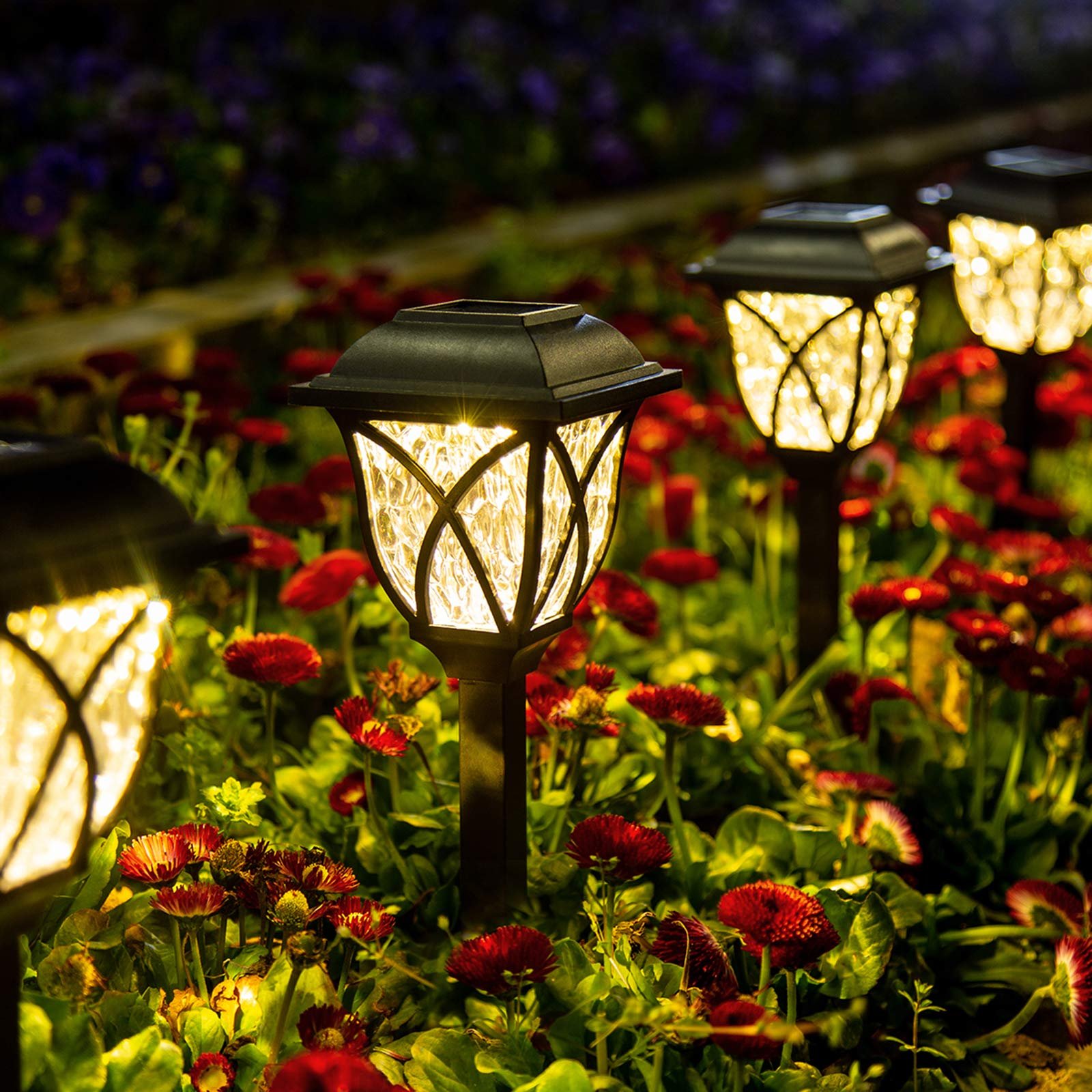 Solar garden lights illuminate a flower bed at night
